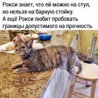 Прикрепленное изображение: Рокси пробует границы.jpg