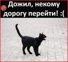 Прикрепленное изображение: Некому дорогу перейти.jpg