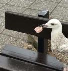 Прикрепленное изображение: 205195825_1621223718070483_735563455801834280_n.jpg