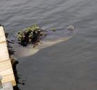 Прикрепленное изображение: 193277296_2159993670809388_7132593946820372212_n.jpg