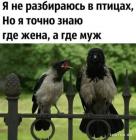 Прикрепленное изображение: 1624263016.jpg