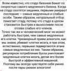 Прикрепленное изображение: 200387326_1802365689942590_829715698896133458_n.jpg