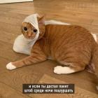 Прикрепленное изображение: photo_2021-05-25_22-20-24 (2).jpg