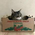 Прикрепленное изображение: 1622880768.jpg