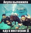 Прикрепленное изображение: 1654244248.jpg