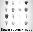 Прикрепленное изображение: 285664206_752751559057360_9166159367520355816_n.jpg