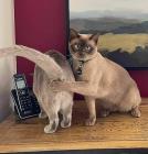 Прикрепленное изображение: 1.jpg