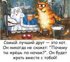 Прикрепленное изображение: Кот - лучший друг.jpg
