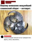 Прикрепленное изображение: Котоврат.jpg