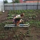 Прикрепленное изображение: eshhyo-ne-zapatentovano_74837.jpg