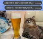 Прикрепленное изображение: 1687859228.jpg