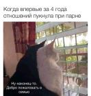 Прикрепленное изображение: IMG_0109.jpeg