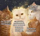 Прикрепленное изображение: Секрет котика.jpg