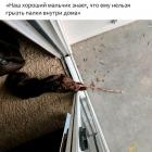 Прикрепленное изображение: Мальчик знает.jpg