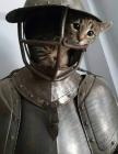 Прикрепленное изображение: Котенок в доспехах.jpg