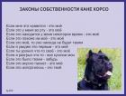 Прикрепленное изображение: Законы собственности кане корсо.jpg