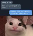 Прикрепленное изображение: Хорошего сотрудника тяжело найти.jpg