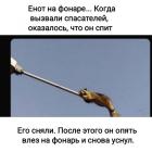 Прикрепленное изображение: 1717540169.jpg