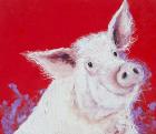 Прикрепленное изображение: pig-painting-on-red-background-jan-matson.jpg