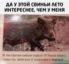 Прикрепленное изображение: altW7zFZqDo.jpg