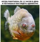 Прикрепленное изображение: photo_2019-07-08_20-58-11.jpg