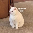 Прикрепленное изображение: Где чертов кофе.jpg