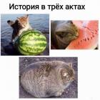Прикрепленное изображение: 1657586816.jpg