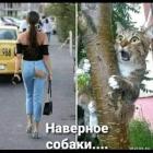 Прикрепленное изображение: 1658566661.jpg