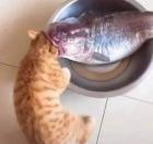 Прикрепленное изображение: chto-ne-zhdali_20852.jpg