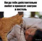 Прикрепленное изображение: 1657873222.jpg