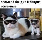 Прикрепленное изображение: 1657958920.jpg