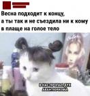 Прикрепленное изображение: Весна подходит к концу.jpg