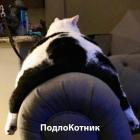 Прикрепленное изображение: Подлокотник.jpg