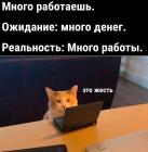 Прикрепленное изображение: Много работаешь.jpg