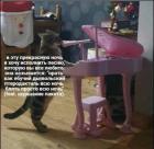 Прикрепленное изображение: Песня кота.jpg