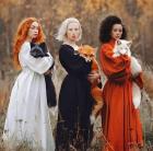 Прикрепленное изображение: Ручные лисы.jpg