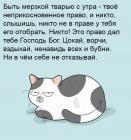 Прикрепленное изображение: Мерзкая тварь с утра.jpg