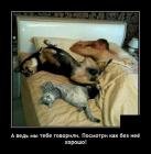 Прикрепленное изображение: Без нее хорошо.jpg