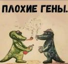 Прикрепленное изображение: 1690026596.jpg