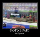 Прикрепленное изображение: Котэ в раю.jpg