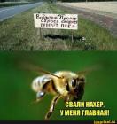 Прикрепленное изображение: 1720210753.jpg