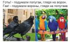Прикрепленное изображение: Вороны и попугаи.jpg