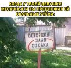 Прикрепленное изображение: Злая сосака.jpg