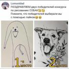 Прикрепленное изображение: 1752826043.jpg