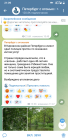 Прикрепленное изображение: Screenshot_20250705-210927.png