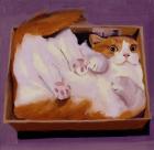 Прикрепленное изображение: IMG_20250718_150454.jpg