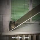 Прикрепленное изображение: котангенс.jpg