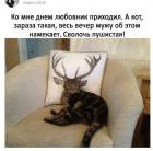 Прикрепленное изображение: image.jpeg