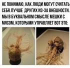 Прикрепленное изображение: 66qBjUPB4Yo.jpg