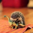 Прикрепленное изображение: 1427524676_2084638759.jpg